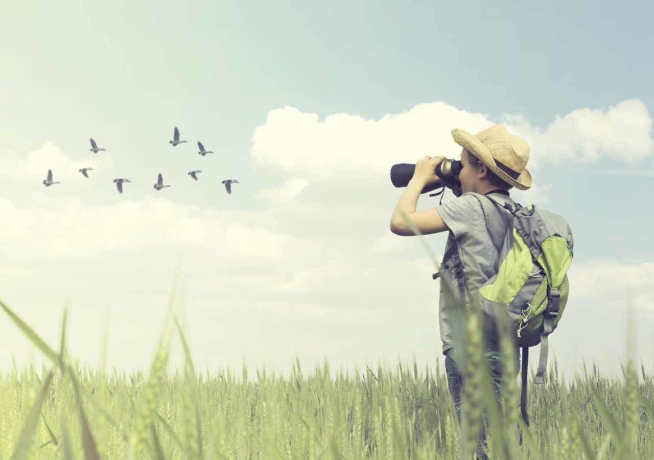 Identify and adore a bird watcher
