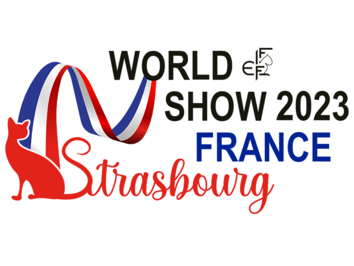 Romanian Cat Claims Coveted FIFe World Show Title in Strasbourg