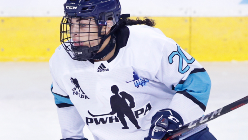 Meet the 3 Players Redefining PWHL Excellence