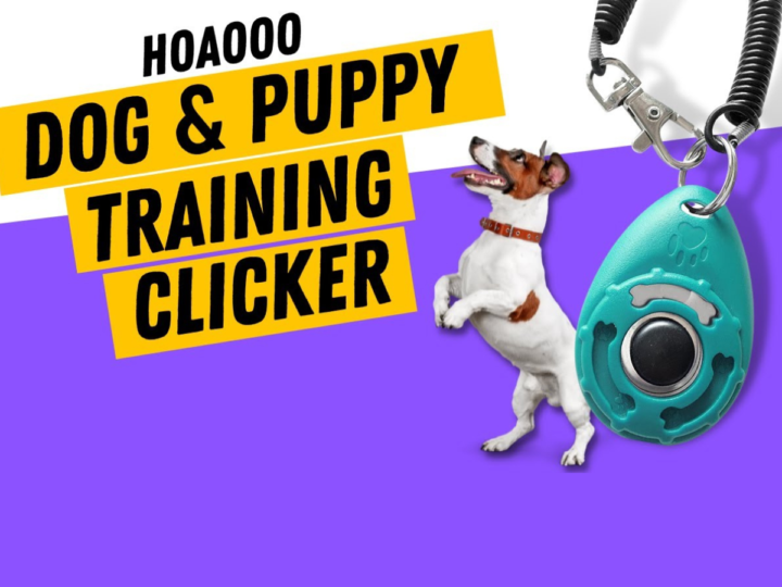 Enhance Your Dog’s Skills with HoAoOo’s Training Clicker