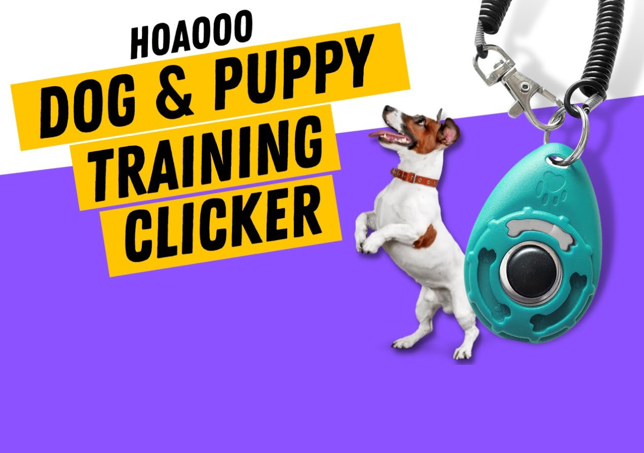 Enhance Your Dog’s Skills with HoAoOo’s Training Clicker