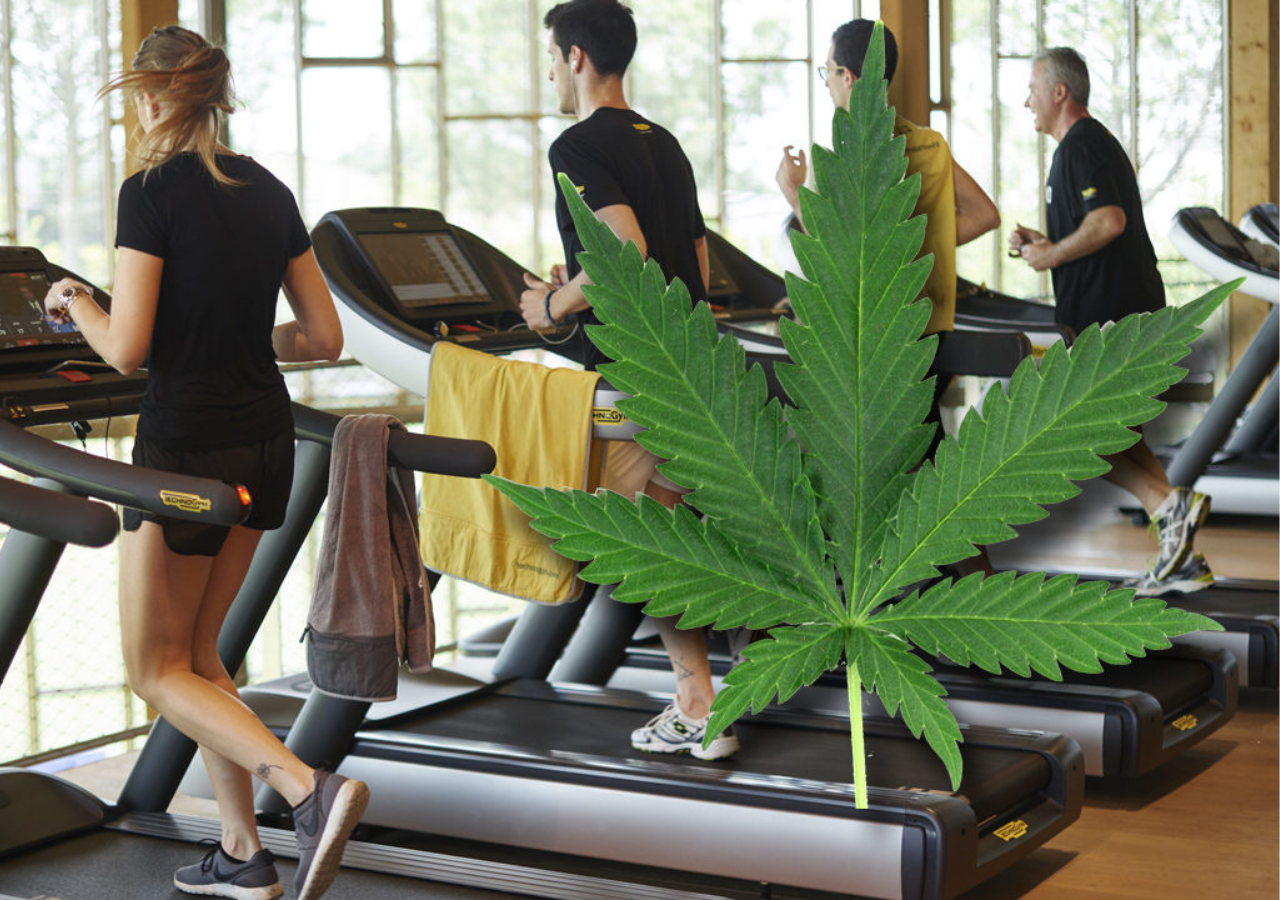 Making Exercise More Enjoyable With Marijuana