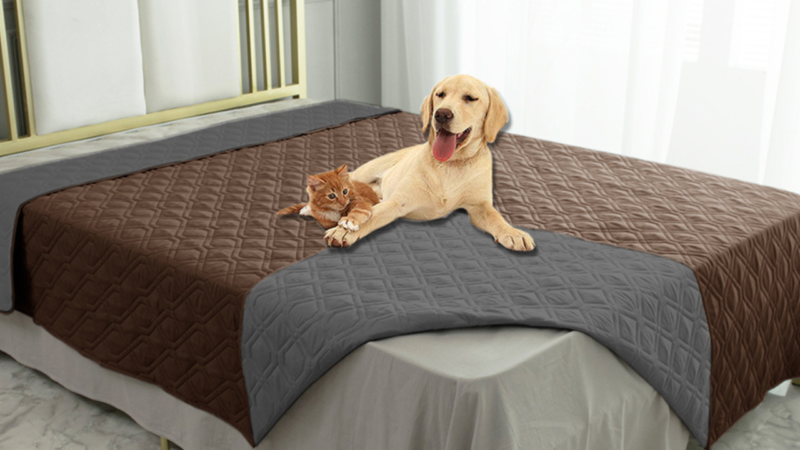 Discover the Ameritex Waterproof Dog Bed Cover