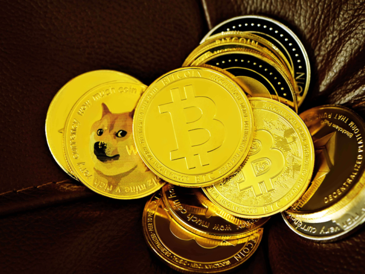 How One Shiba Inu Shaped Internet Culture and Cryptocurrency