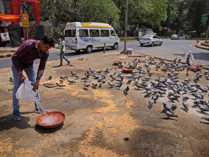 Delhi’s Unprecedented Heat and Its Impact on Daily Life