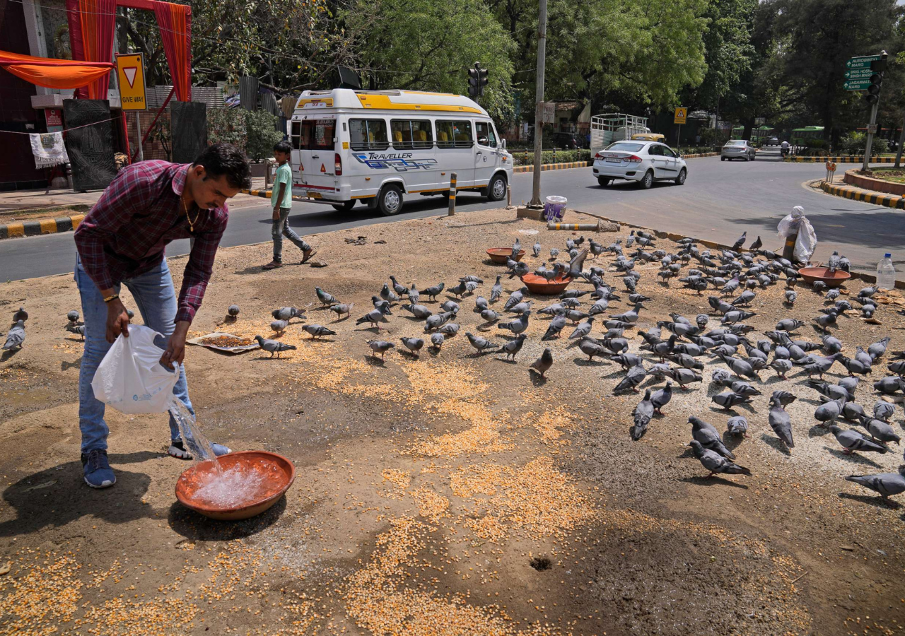 Delhi’s Unprecedented Heat and Its Impact on Daily Life