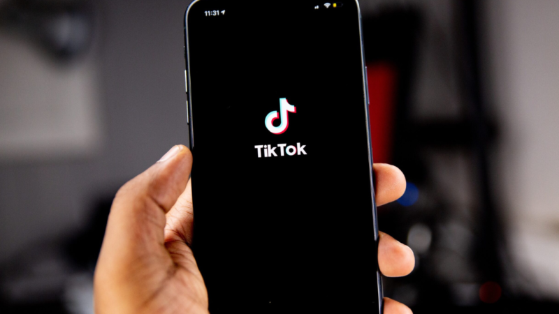 Adapting to an Internet Without TikTok