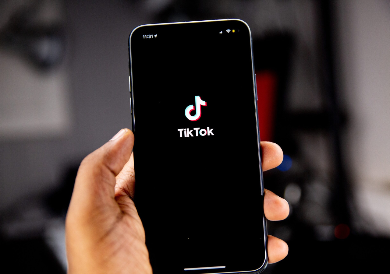 Adapting to an Internet Without TikTok