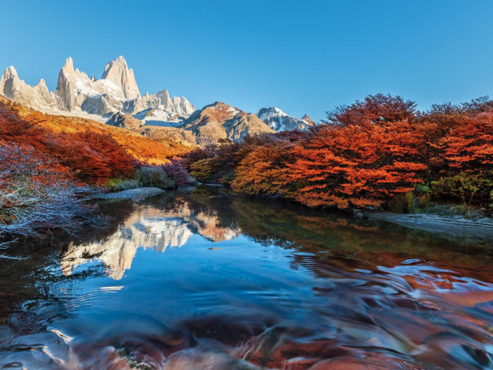 Explore the Beauty, Flavor, and Spirit of Argentina