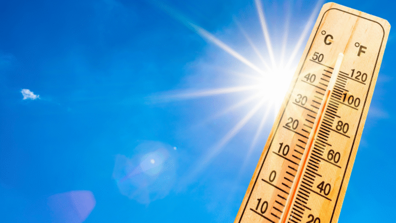 Europe Heat Wave Continues as UN Chief Warns of ‘New Normal’
