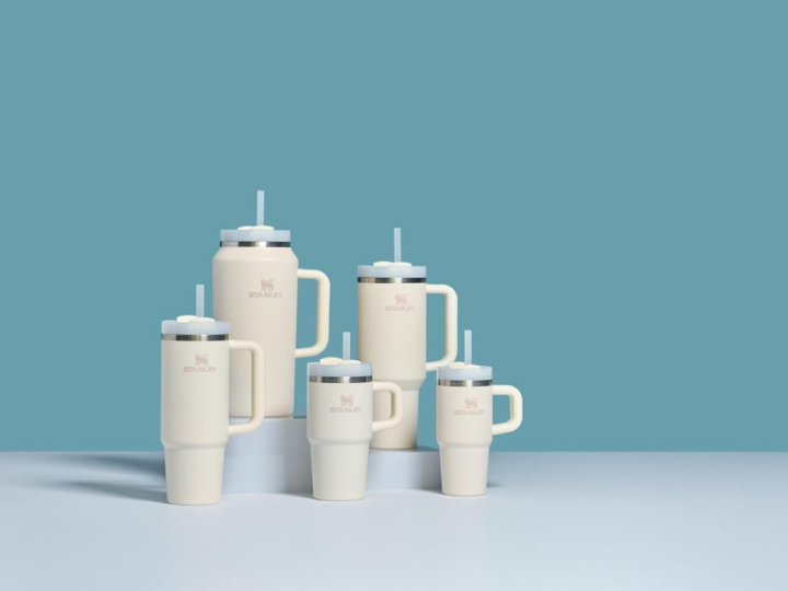 Is the Viral Stanley Cup Worth It?